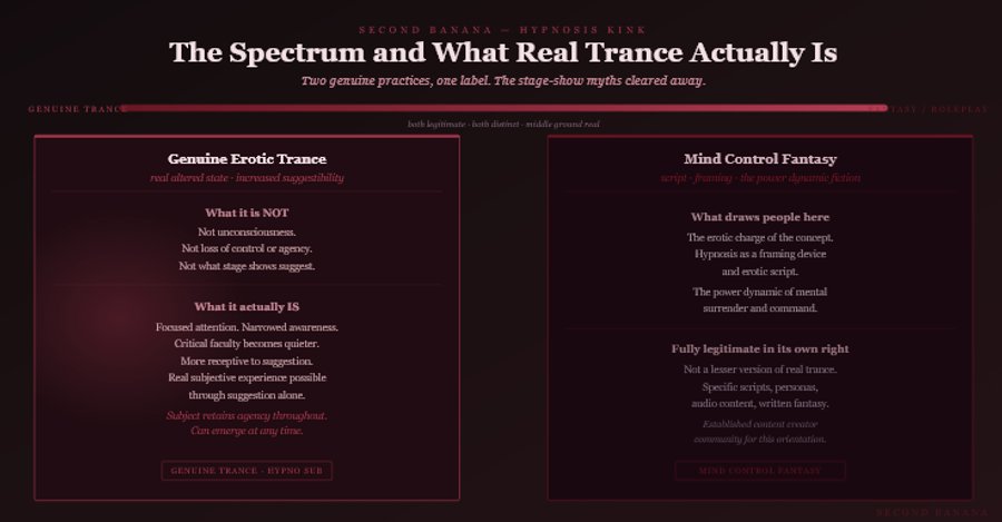 Dark burgundy editorial infographic titled
