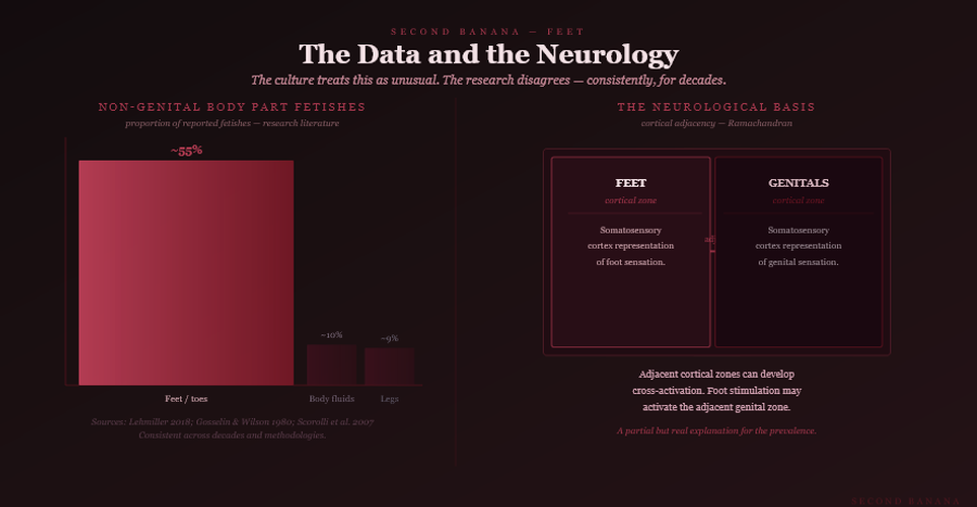 Dark burgundy editorial infographic titled 