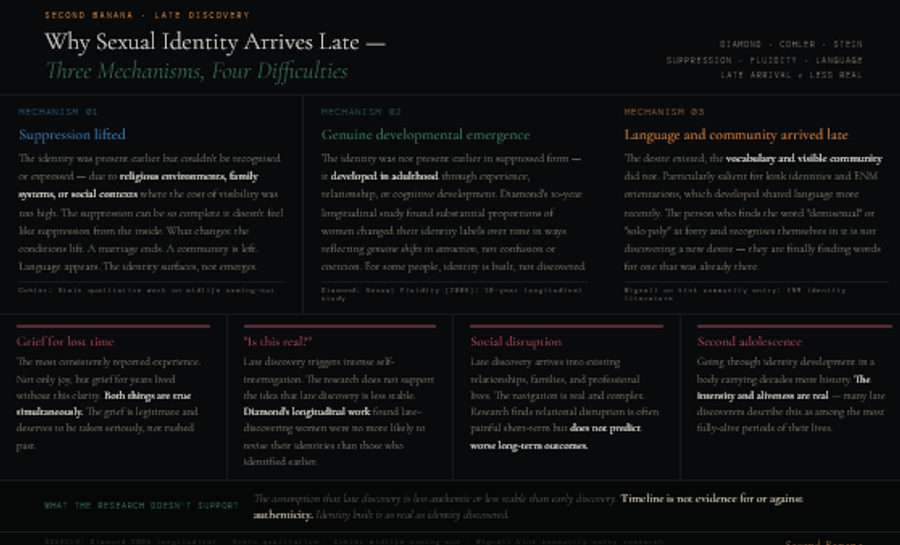Dark background infographic presenting three mechanisms of late identity discovery and four associated difficulties. Three upper columns: mechanism one in blue — suppression lifted, where the identity was present earlier but couldn't be recognised due to religious environments, family systems, or social contexts where visibility carried too high a cost, with the suppression often feeling complete rather than felt as suppression, based on Cohler and Stein's qualitative work on midlife coming-out; mechanism two in green — genuine developmental emergence, where the identity developed in adulthood through experience or relationship, grounded in Diamond's 10-year longitudinal study finding substantial proportions of women experienced genuine shifts in attraction over time; mechanism three in amber — language and community arrived late, where the desire existed but vocabulary and visible community did not, particularly salient for kink and ENM identities whose shared language developed more recently. Four lower cells showing what makes late discovery hard: grief for lost time as the most consistently reported experience, legitimate and deserving to be taken seriously; the