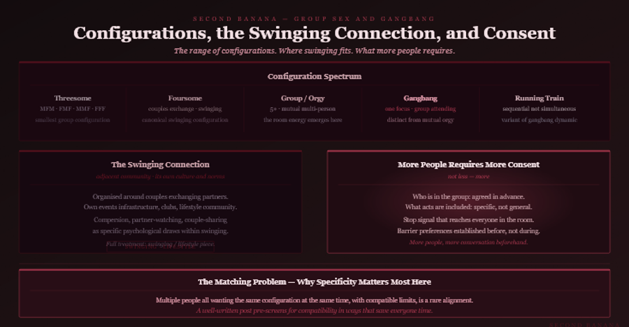 Dark burgundy editorial infographic titled