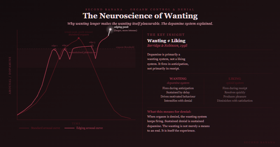 Dark burgundy editorial infographic titled 