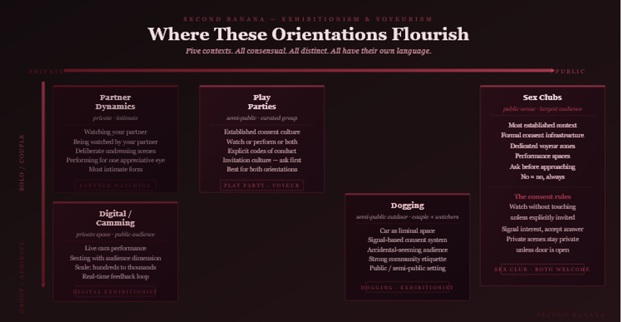       Dark burgundy editorial infographic titled 