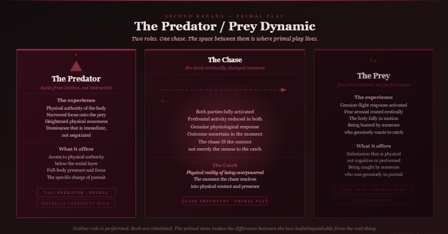Dark burgundy editorial infographic titled