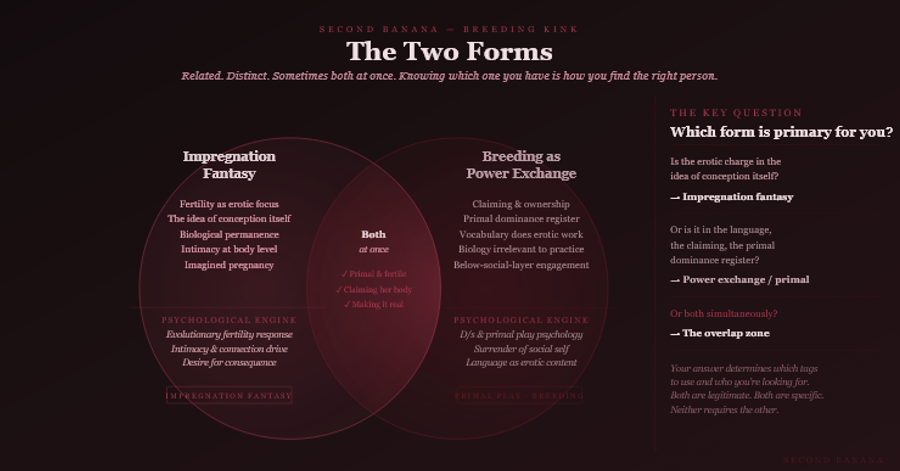 Dark burgundy editorial infographic titled 