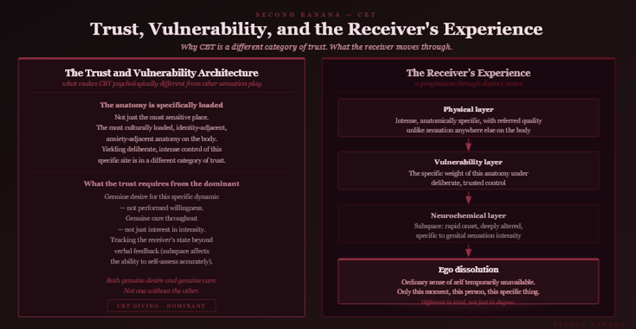 Dark burgundy editorial infographic titled 