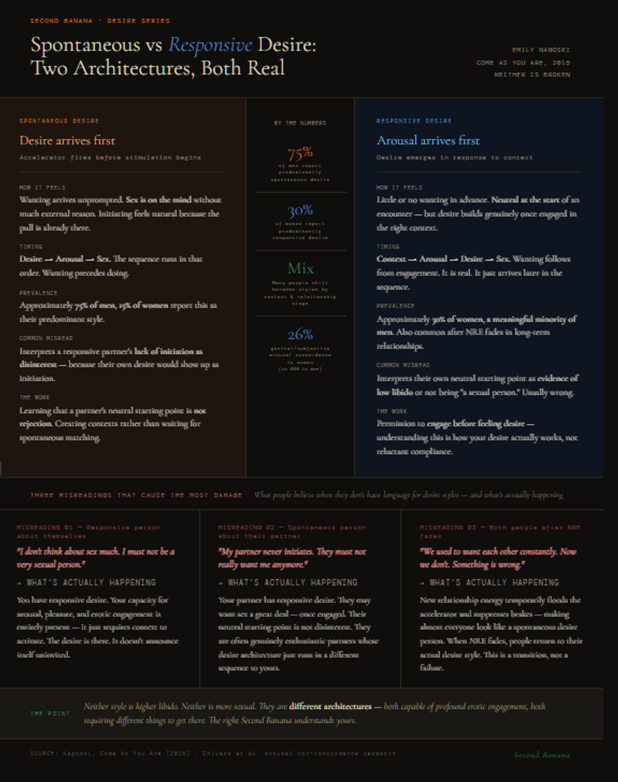 Infographic comparing spontaneous and responsive desire styles. Left column describes spontaneous desire: wanting arrives unprompted, desire precedes arousal, reported by approximately 75% of men and 15% of women, with the common misread being that a partner's lack of initiation signals disinterest. Right column describes responsive desire: neutral starting point with desire emerging in response to context, reported by approximately 30% of women and a meaningful minority of men, with the common misread being that the neutral starting point means low libido. Centre column shows four statistics including 26% genital-subjective arousal concordance in women versus 66% in men. Lower section addresses three misreadings: a responsive person concluding they are not sexual, a spontaneous person reading a partner's non-initiation as rejection, and both partners misreading the end of NRE as relationship failure.