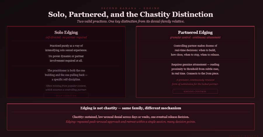 Dark burgundy editorial infographic titled 
