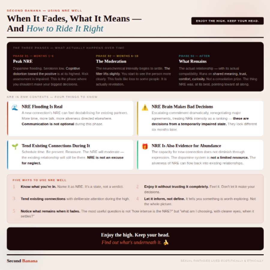 Warm sand background. Dark three-phase timeline: Peak NRE (months 1–6, distortion at highest), The Moderation (months 6–18, filter lifts, revelation not loss), What Remains (actual relationship running on trust and shared meaning). Four ENM-specific cards: NRE flooding is real, NRE brain makes bad decisions, tend existing connections during it, NRE as evidence for the abundance model. Five-item 