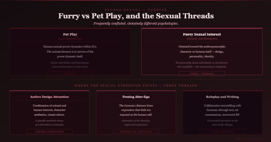 Dark burgundy editorial infographic titled 