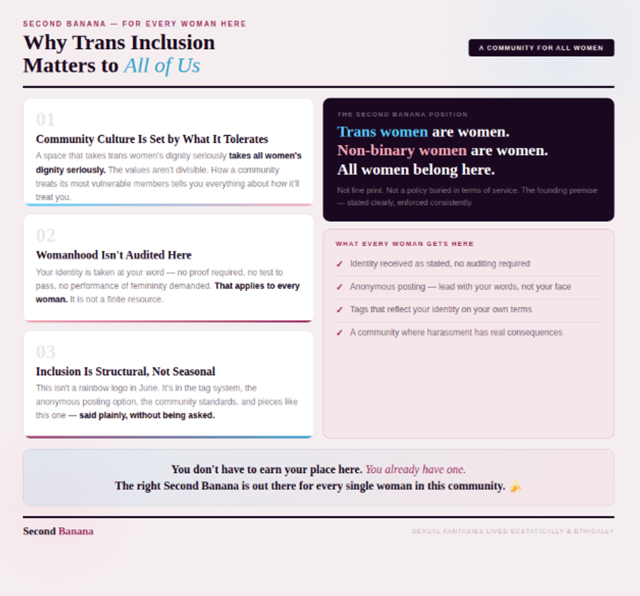 Light warm background with trans flag stripe accent. Titled