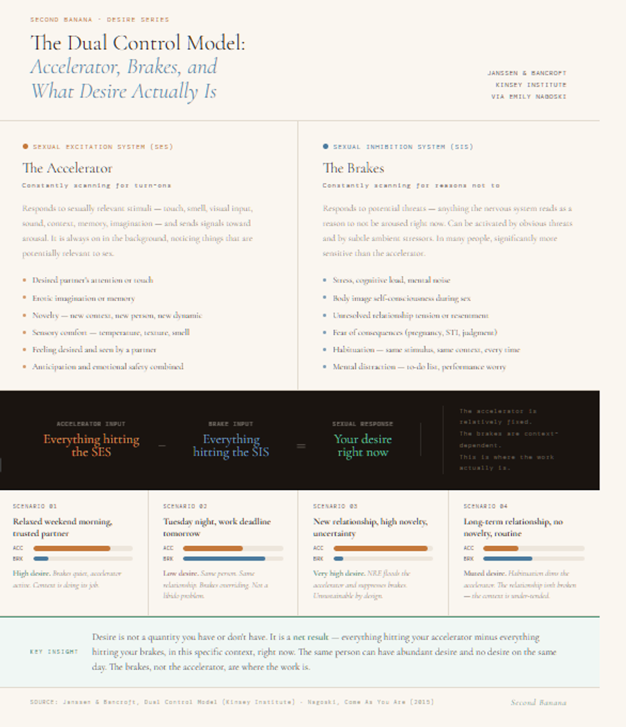Infographic explaining the Dual Control Model of sexual desire from Janssen, Bancroft, and Nagoski. Two panels show the Sexual Excitation System (accelerator) responding to desired touch, novelty, emotional safety, and imagination, and the Sexual Inhibition System (brakes) responding to stress, body image concerns, relationship tension, fear, habituation, and mental distraction. A central equation shows that desire equals accelerator input minus brake input. Four scenario bar charts illustrate how the same person can have high desire on a relaxed morning and near-zero desire on a stressful weeknight, with NRE producing peak desire and long-term routine producing muted desire. Key insight: the brakes, not the accelerator, are where the work is.