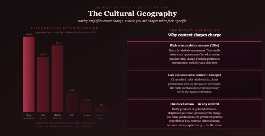 Dark burgundy editorial infographic titled 