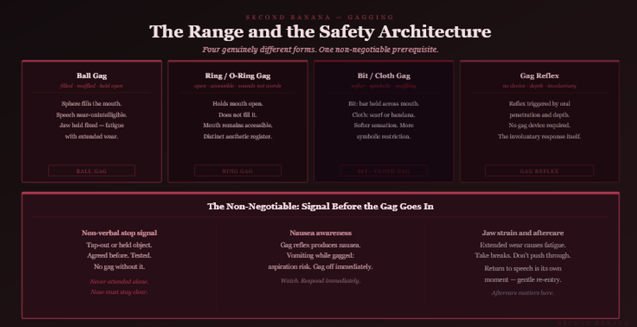 Dark burgundy editorial infographic titled