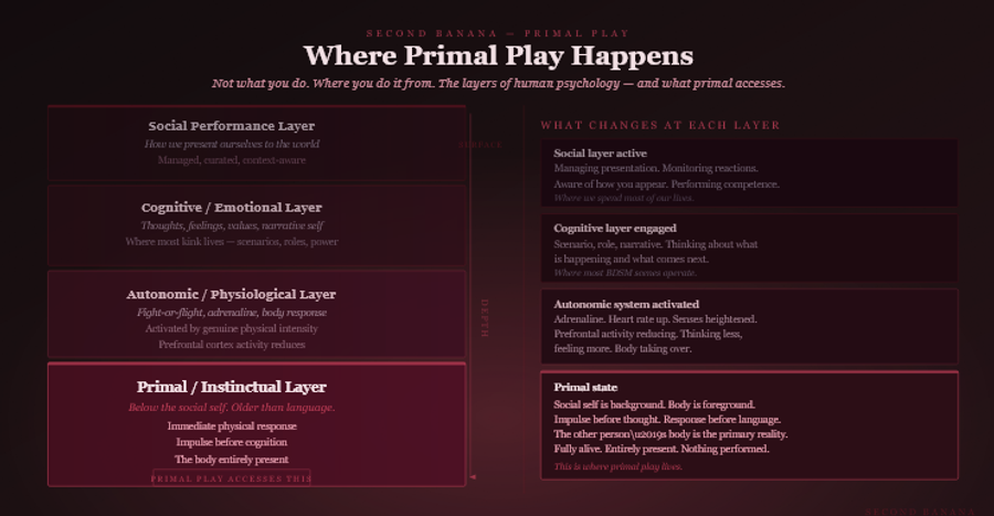 Dark burgundy editorial infographic titled