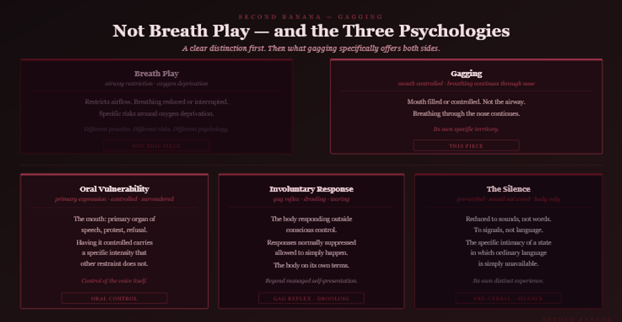 Dark burgundy editorial infographic titled