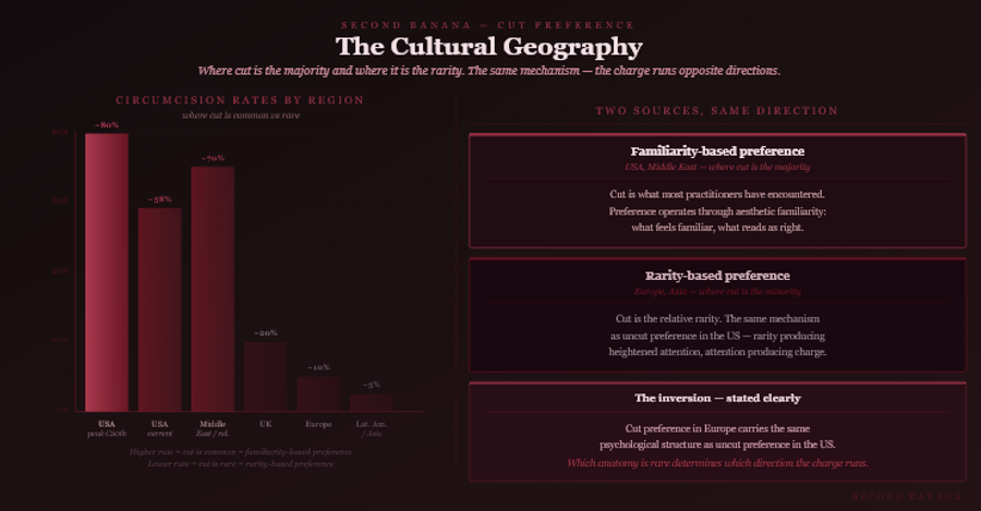 Dark burgundy editorial infographic titled 