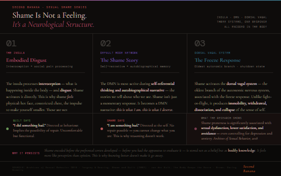 Infographic showing the three brain systems involved in sexual shame. The insula, active in interoception and disgust, produces the physical sensations of shame — hot face, chest constriction, impulse to shrink — and resists cognitive override because disgust pathways do not respond to reasoning. The default mode network consolidates shame into autobiographical narrative during rest and sleep, which is why childhood shame is recalled with vivid freshness decades later. The dorsal vagal system produces the freeze response — immobility, dissociation, desire shutdown — when arousal becomes associated with the threat of shame. Bottom row distinguishes guilt (directed at behaviour, repairable) from shame (directed at the self, no repair possible) and cites the 2018 finding that shame proneness significantly predicts sexual dysfunction even controlling for depression and anxiety.