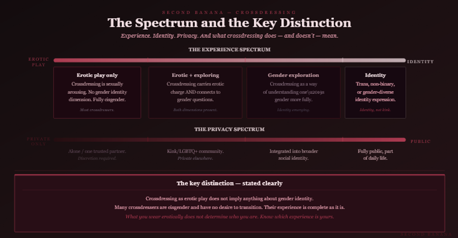 Dark burgundy editorial infographic titled 