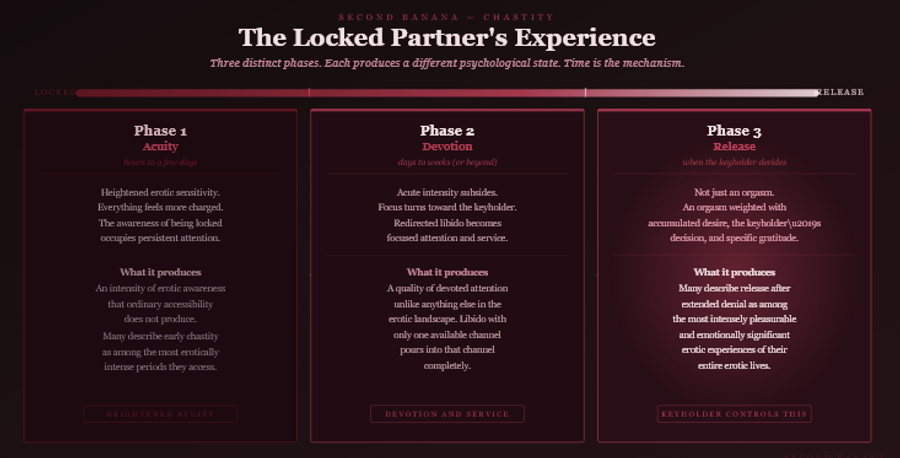Dark burgundy editorial infographic titled