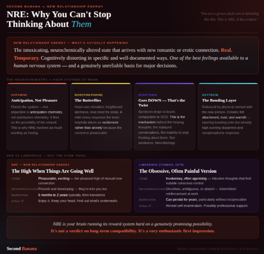 Dark background with warm ember and teal aurora. Definition banner: NRE as real, temporary, cognitively distorting in specific ways, and one of the best feelings available to a human nervous system. Four neurochemical cards: Dopamine (↑↑ — anticipation not pleasure), Norepinephrine (↑ — the butterflies), Serotonin (↓↓ — goes down, the counterintuitive twist that explains intrusive thinking), Oxytocin (↑ — the bonding layer). Two-column NRE vs Limerence comparison showing key differences in tone, reciprocation context, typical duration, and what to do with each. Closes with pull quote: 