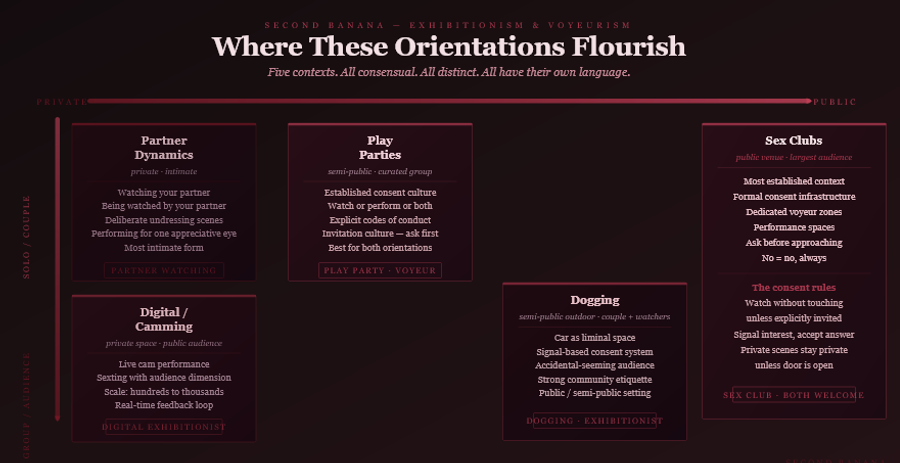 Dark burgundy editorial infographic titled 