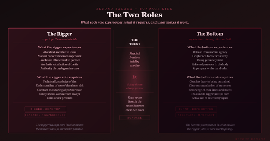 Dark burgundy editorial infographic titled