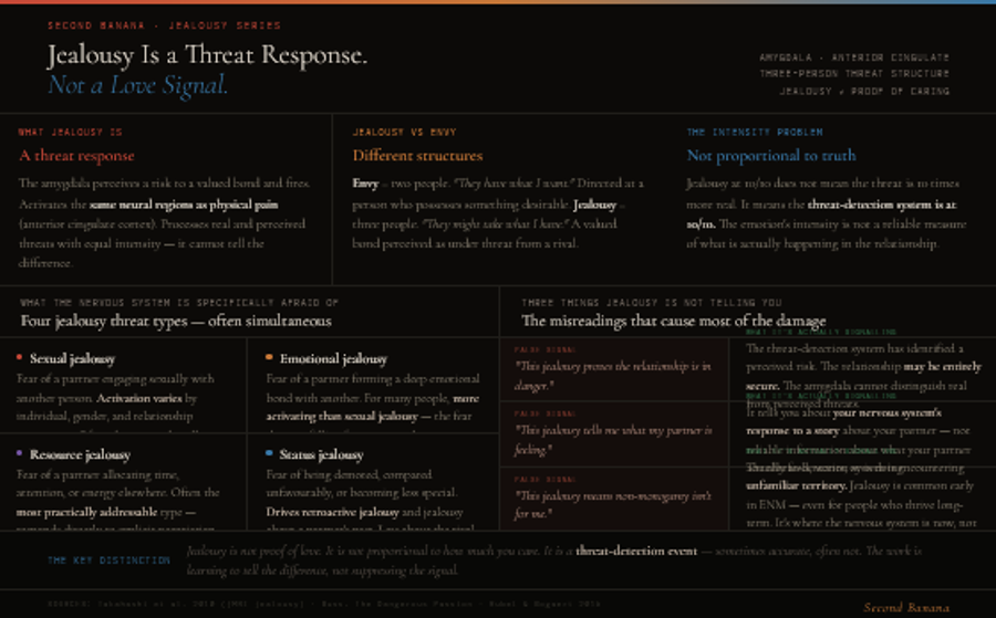 Infographic explaining jealousy as a threat-detection event rather than a love signal. Top strip covers three points: jealousy activates the same anterior cingulate regions as physical pain and cannot distinguish real from perceived threats; jealousy differs from envy in being a three-person dynamic (someone might take what I have) rather than two-person (they have what I want); and jealousy at peak intensity is not proportional to how real the threat is. Left column shows four jealousy threat types — sexual, emotional, resource, and status — each with its distinct mechanism and what makes it most activating. Right column shows three common false signals: that jealousy proves the relationship is in danger; that it tells you what a partner is feeling; and that it proves non-monogamy isn't viable — each with the accurate reframe.