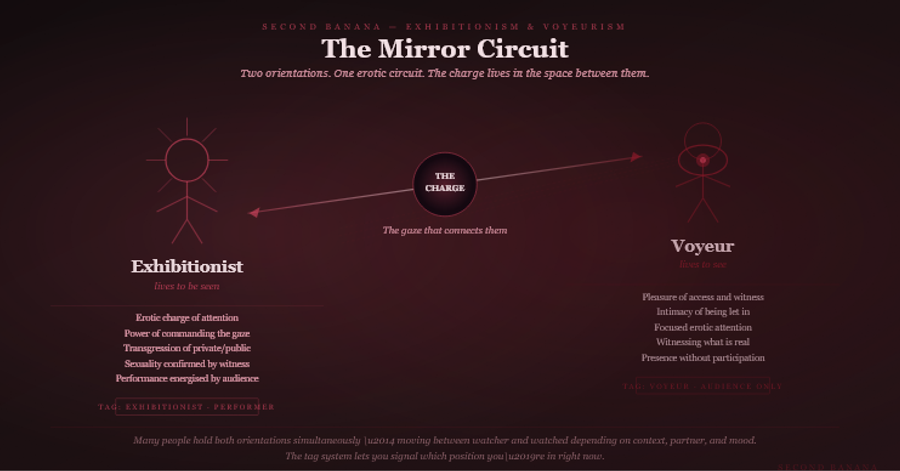 Dark burgundy editorial infographic titled 