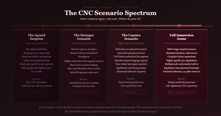 Dark burgundy editorial infographic titled 