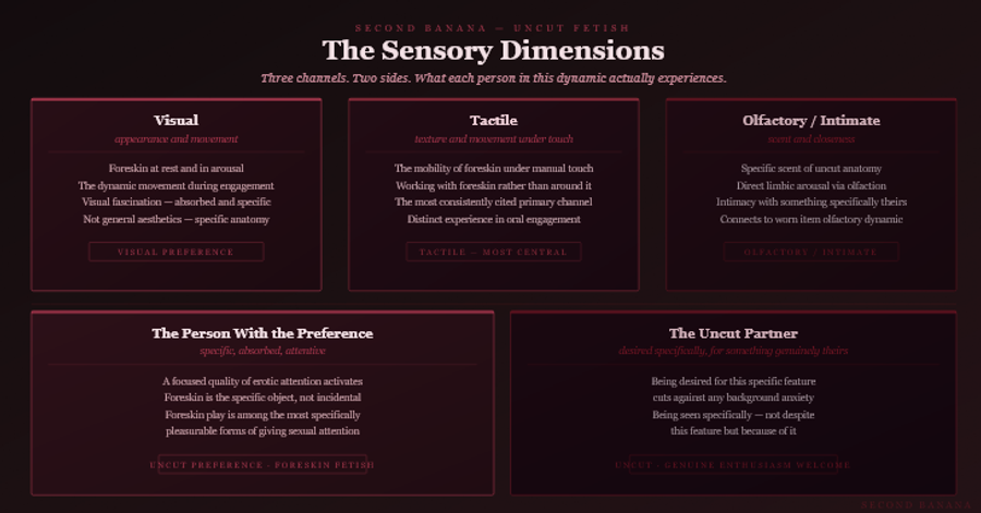 Dark burgundy editorial infographic titled 
