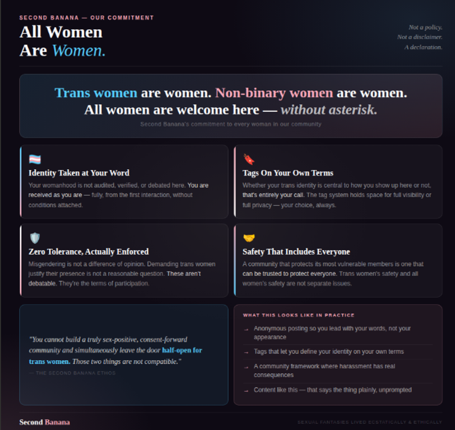 Dark background with trans flag stripe across the top. Titled