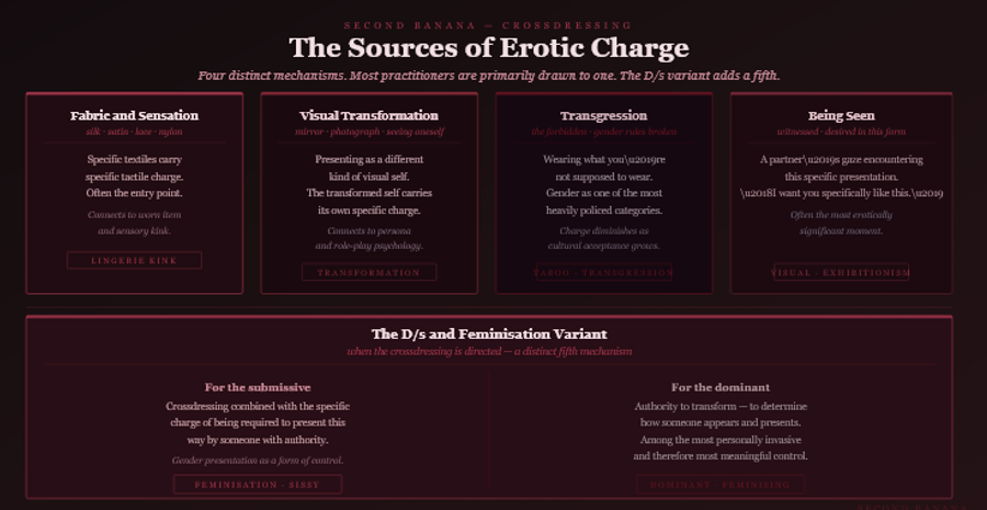 Dark burgundy editorial infographic titled 
