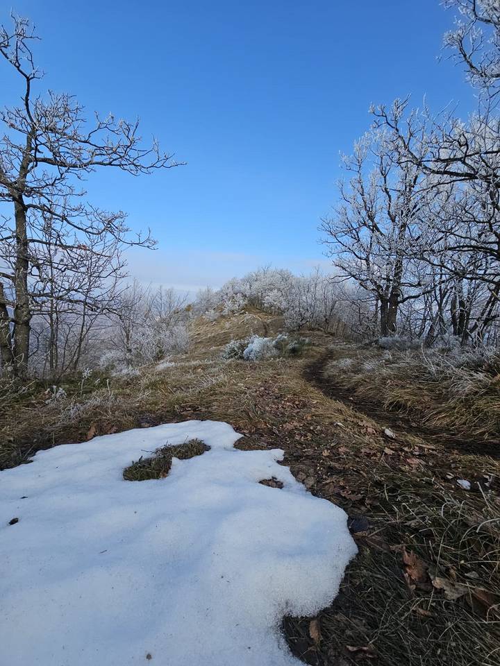 PD Bistra – godinu otvorili pohodom na Samoborsko gorje - fotografija 5