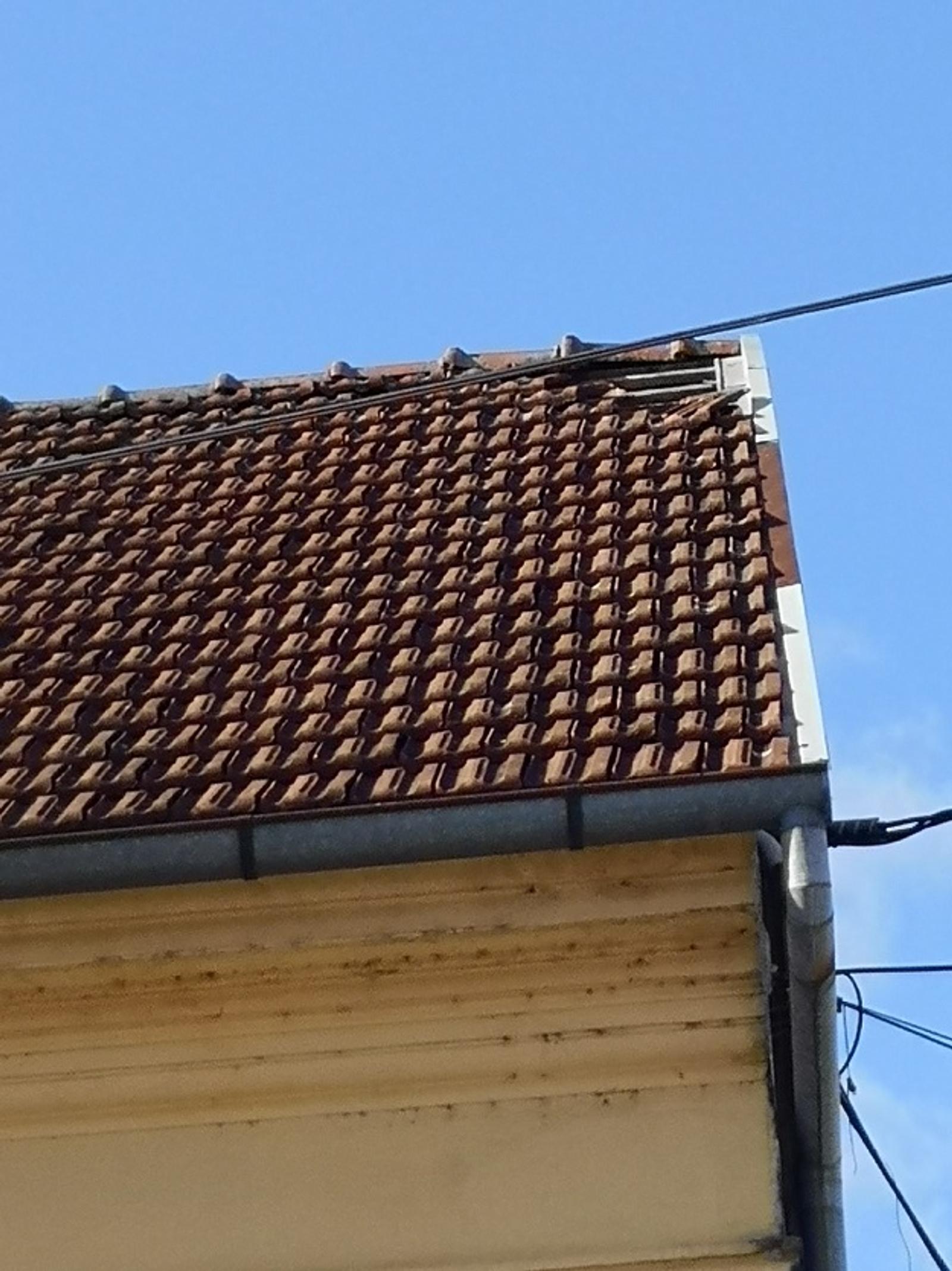 Olujno nevrijeme i u Bistri - fotografija 6