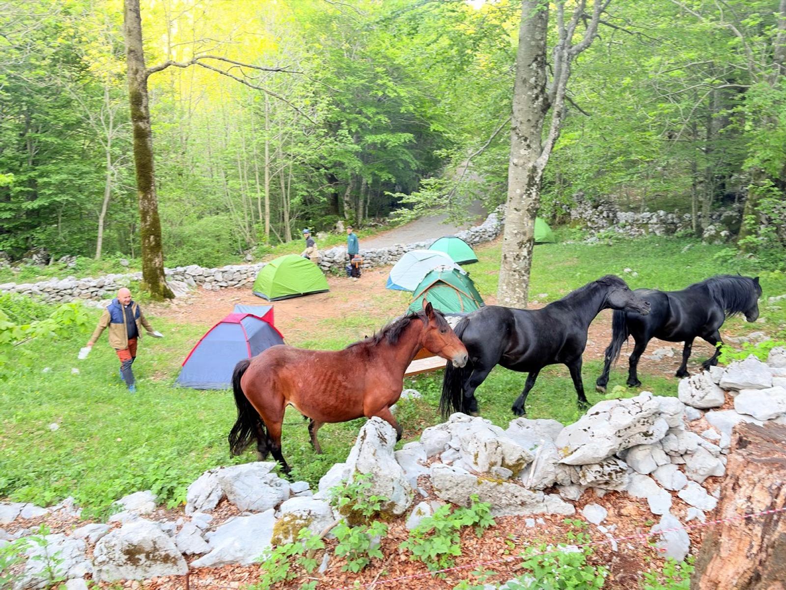 PD Bistra – bistranski planinari i Velebit vole se javno - fotografija 5