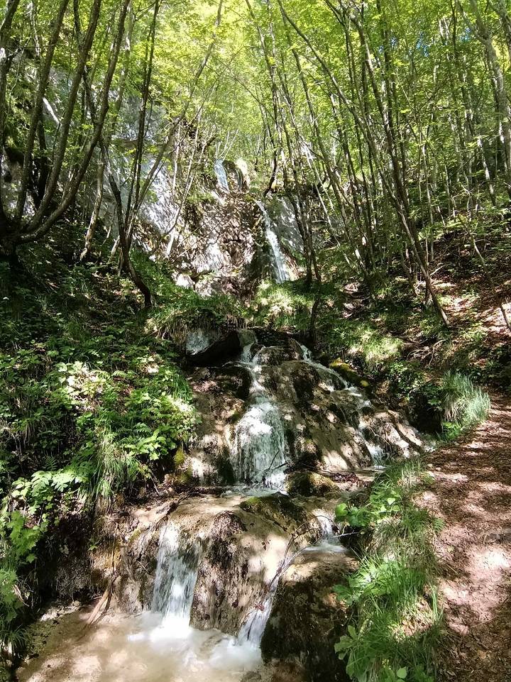 PD Bistra – uživali u proljetnom izdanju Žumberka - fotografija 1