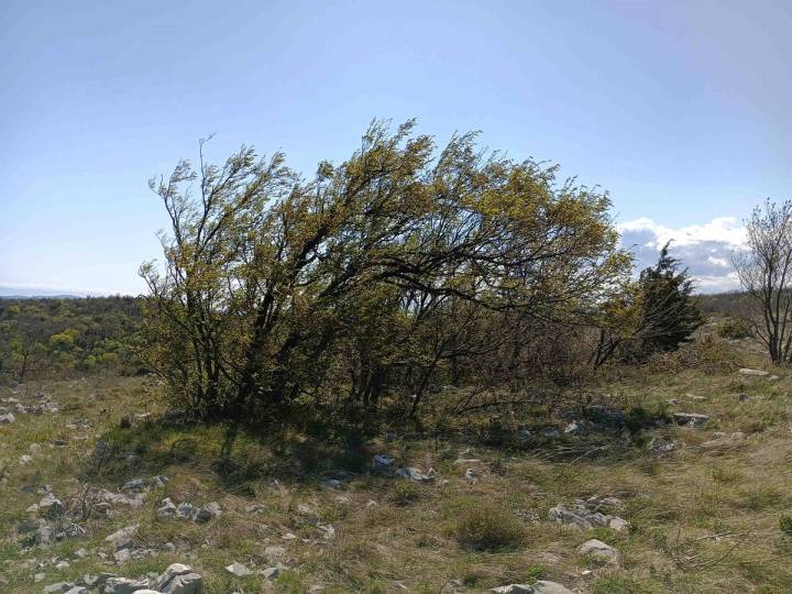 PD Bistra – uživali u ljepotama Via Adriatice - fotografija 2
