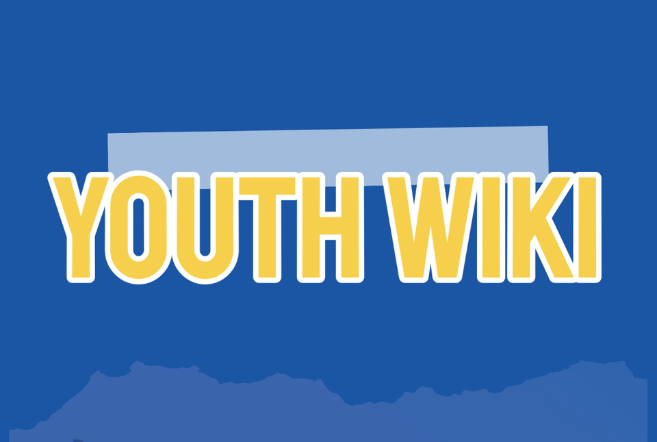 Youth Wiki – upoznajte europske politike za mlade na jednom mjestu
