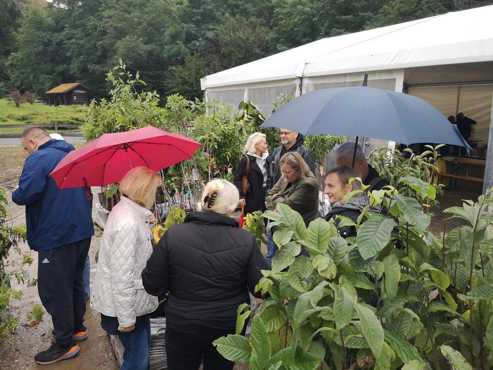 Gospodarstvo – održan Festival indijanske banane - fotografija 2