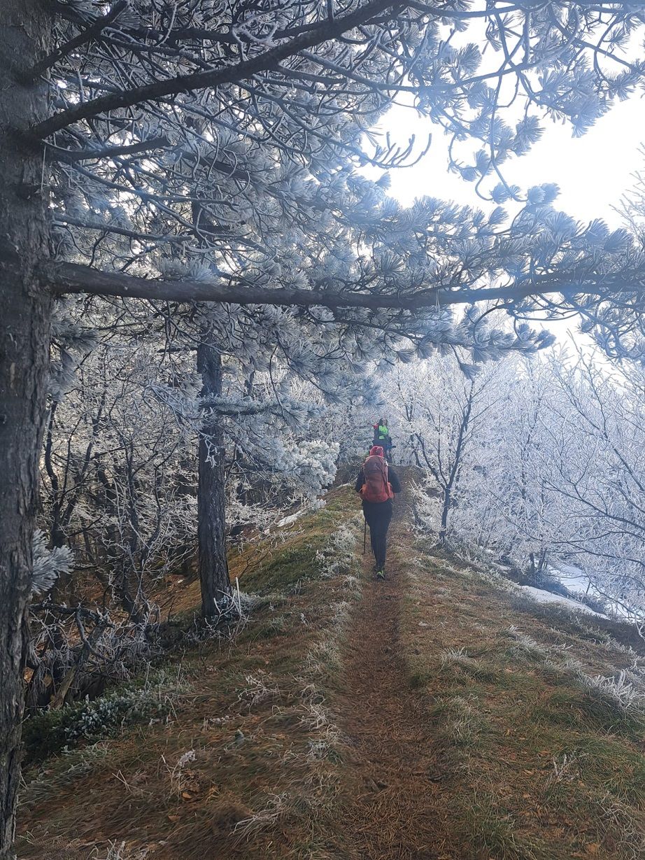 PD Bistra – godinu otvorili pohodom na Samoborsko gorje