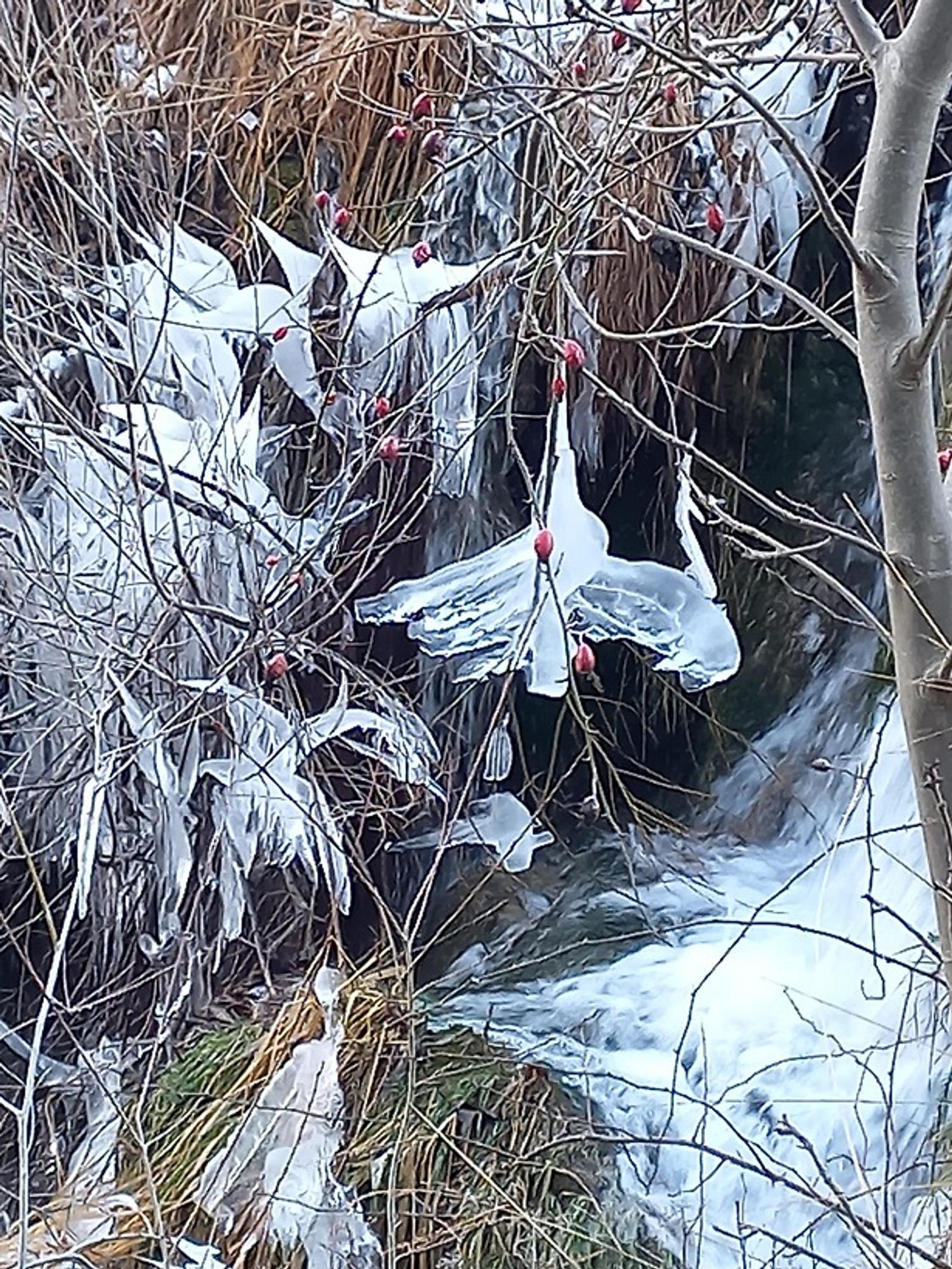 PD Bistra – novu planinarsku sezonu otvorili izletom na Plitvice - fotografija 5