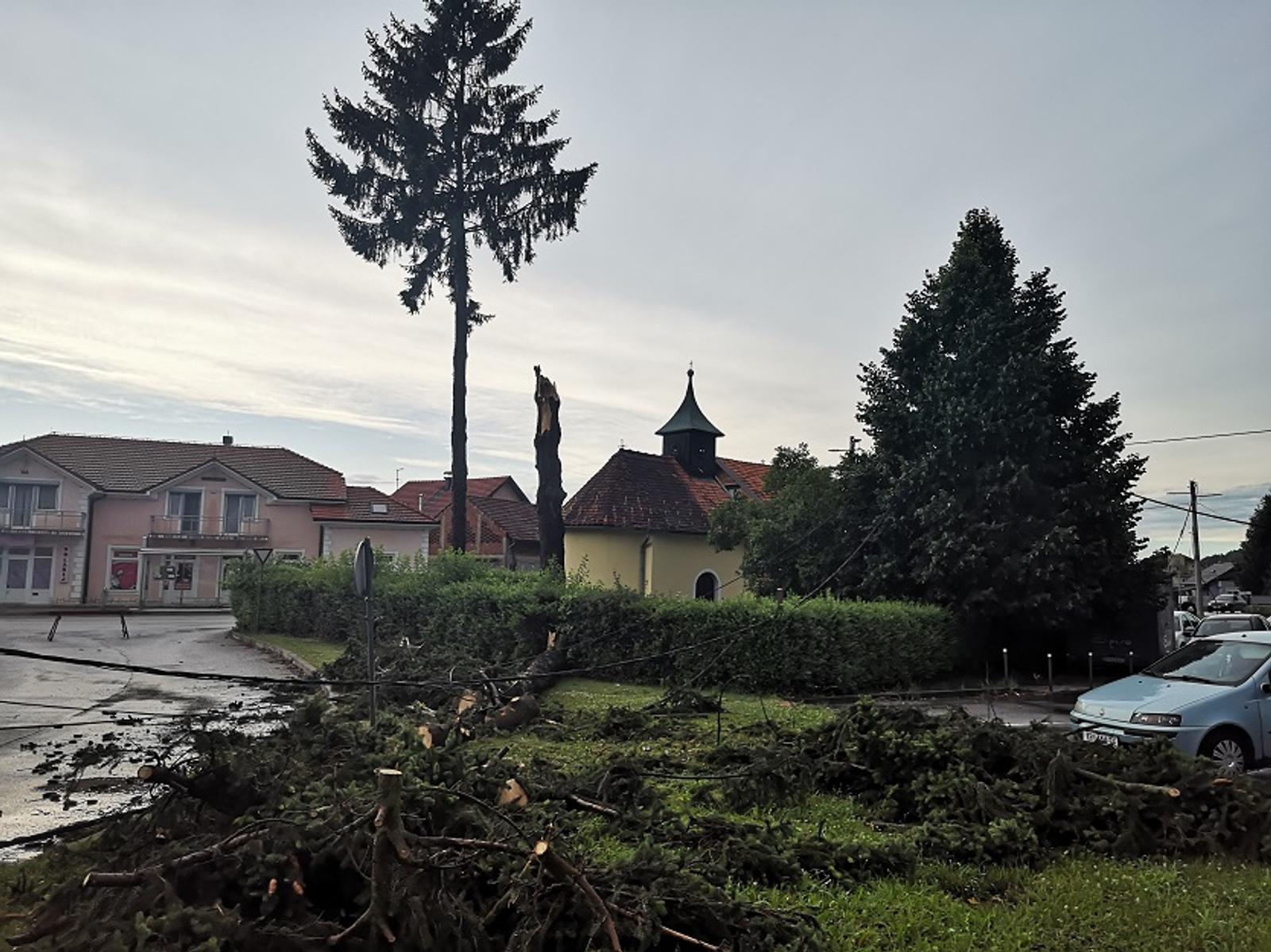 Priroda uzvraća udarac - fotografija 2