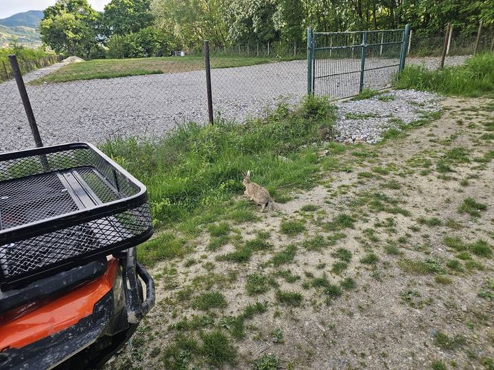 Lovačko društvo Šljuka – stalna briga o divljači - fotografija 4
