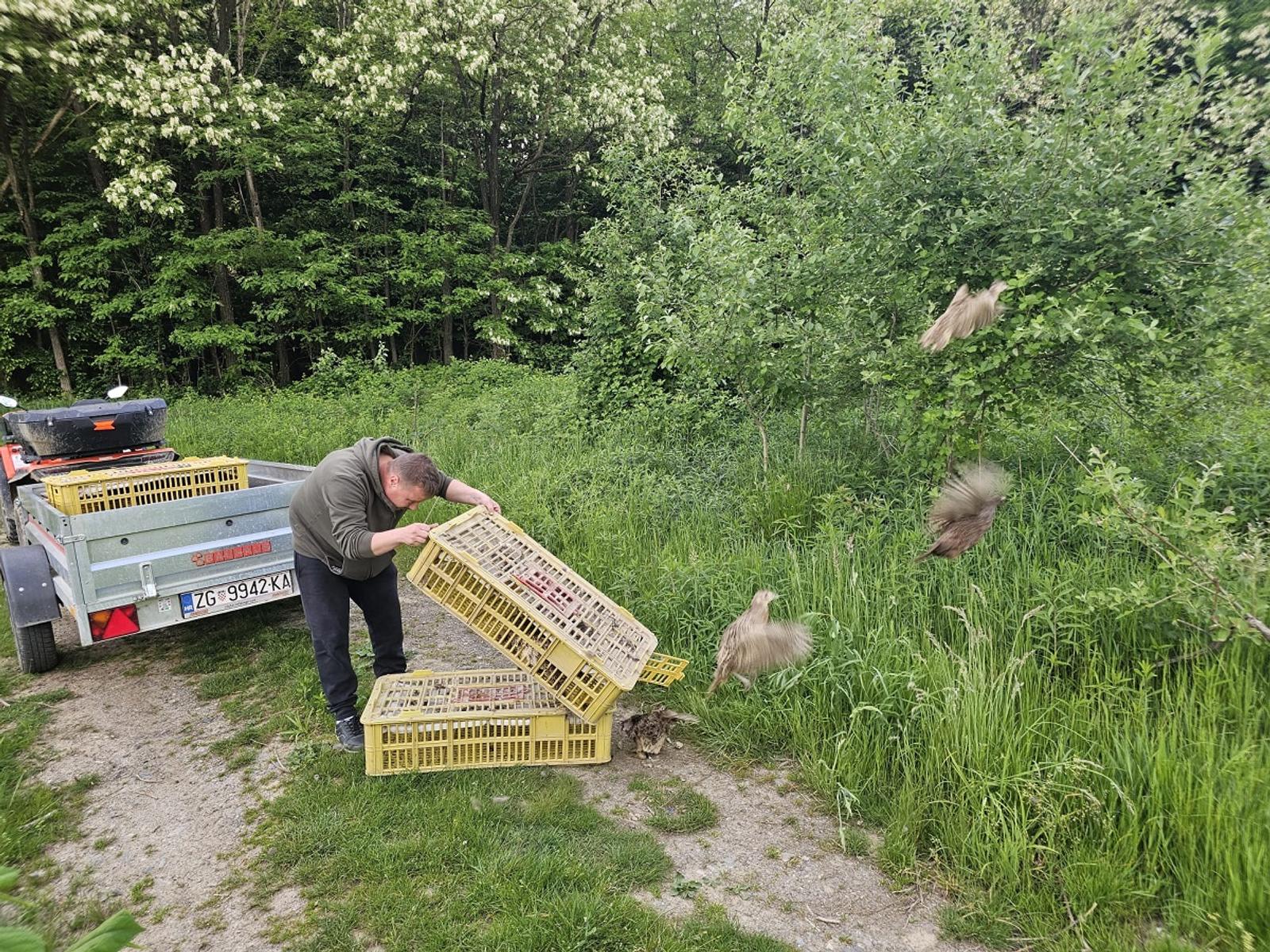 Lovačko društvo Šljuka – stalna briga o divljači - fotografija 1