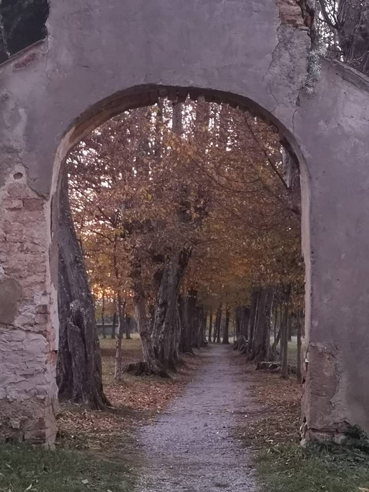 Ekomuzej Bistra predstavio Tajnu dvorca Oršić - fotografija 5