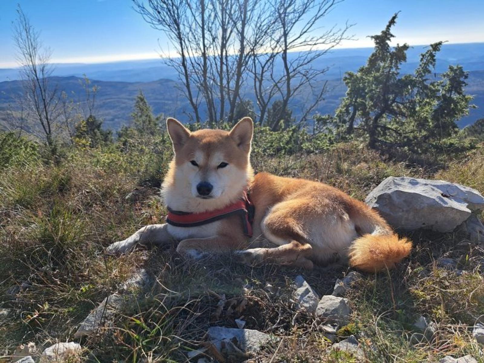 PD Bistra – nedjelja na Ćićariji - fotografija 3