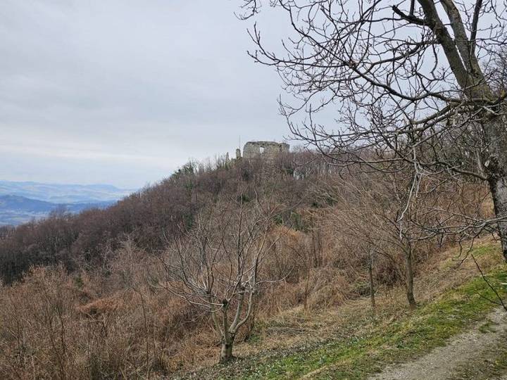 PD Bistra – osvojili Cesargradsku goru - fotografija 3
