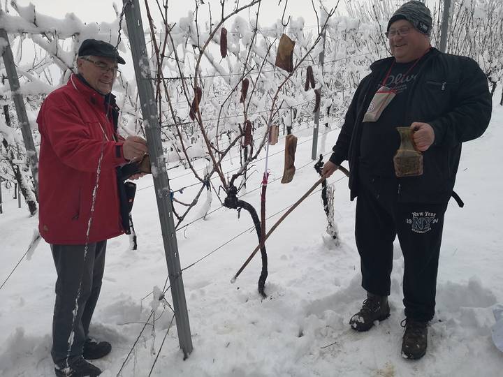 Potepuhi obilježili Vincekovo - fotografija 2