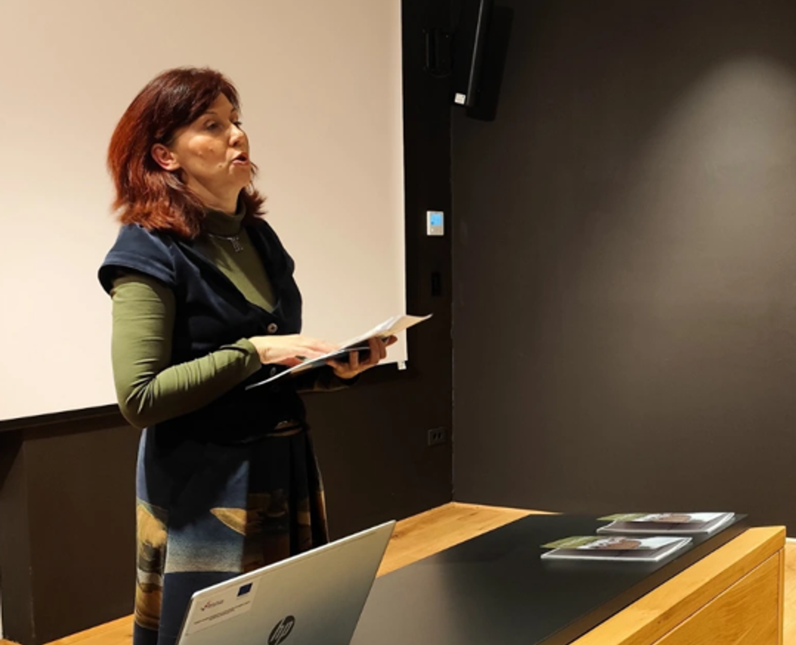 Ekomuzej Bistra – predstavili publikaciju o kamenim svatima - fotografija 2