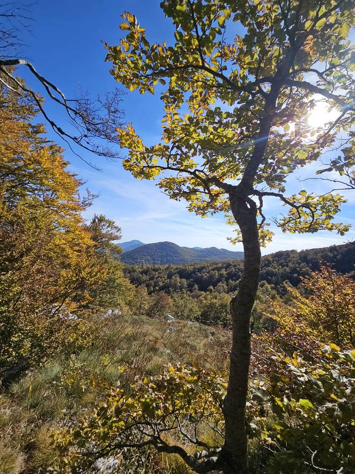 PD Bistra – novi pohod na Velebit - fotografija 1